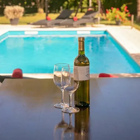 Dani Villa Vižinada